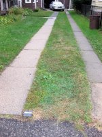 Ribbon-driveway-in-Cambridge.jpg