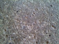 floor1.jpg