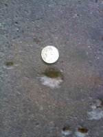 floor2.jpg