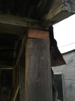 IMG_0382.jpg