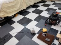 Floor.jpg