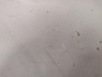 IMG_20191123_112753.jpg
