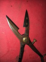 scissors2.jpg