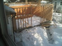 IMG00203-20110130-1257.jpg