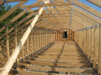 IMG_5331 (Medium).jpg IMG_5331 (Medium).jpg