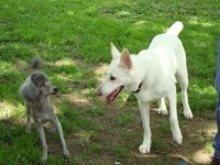 DSC00830.jpg