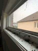 IMG_0344.jpg