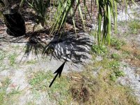 Sprinkler Pipe Repair 1.jpg