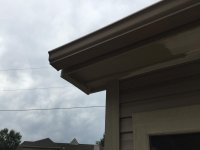 IMG_1786.jpg