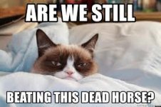 dead horse.jpeg
