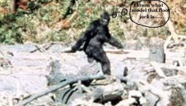 Big-Foot-1-832-832x476.jpg