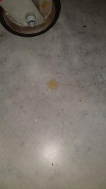 IMG_20200317_105959243.jpg