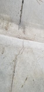 20191003_154255.jpg