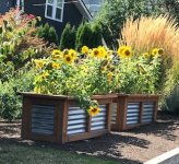 T's raised bed garden she likes 2.jpg
