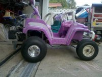 bug jeep 1.jpg