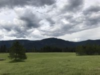 IMG_2607.jpg