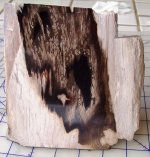 Pet wood.jpg