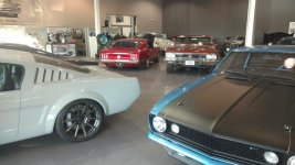 show room.jpg