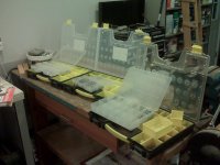IMG00108.jpg