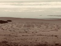bellman made a flower in sand with a rake.jpg