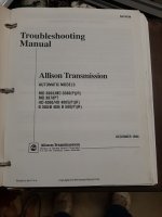 Allison_02.jpg