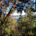 Normandy Park trail pics of Mt. Rainier.jpg