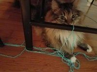 20180214_070101.jpg