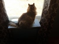 20180311_120848.jpg