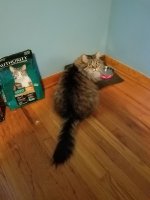 20180425_071251.jpg