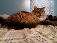 20181120_131246.jpg