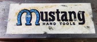 Mustang (NB).jpg