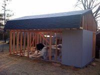 shed2.jpg