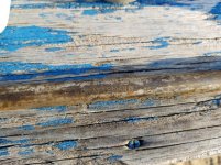 20191002_080229.jpg