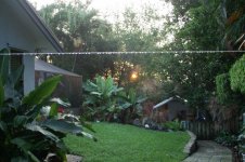 2020-4-18 Sunrise 1.jpg