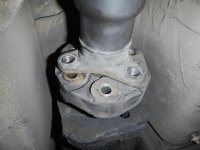 DSCN5323.jpg