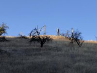 0FDF46F0-2EC4-441F-B395-38DE78957DE9.jpg