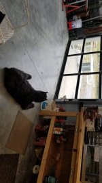 20190320_113749.jpg