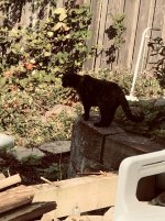 Cleo (supervisor) checking out the work 1.jpg