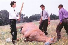 beating_a_dead_horse.jpg beating_a_dead_horse.jpg