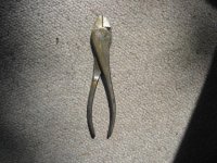 IMG_7239.JPG