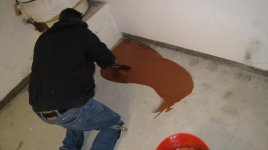 IMG_1564.jpg