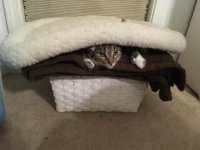Meriel 1-5-2017.jpg
