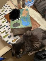 6DE8447E-01C1-45AF-9357-DF212F0F1F62.jpeg