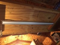 braun in shed 1.jpg