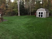 shed.jpg