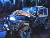 TROPHY_Deer_Bradley-300x228.jpg