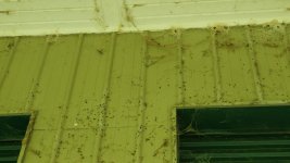 3937-Exterior-Porch-Ceiling-Cleaning-02.jpg