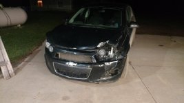Robin's deer strike.jpg