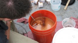 IMG_1575.jpg
