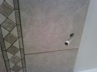 IMG00372-20110127-0820.jpg